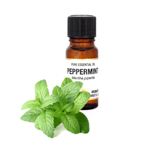Amphora Peppermint Pure Essential Oil