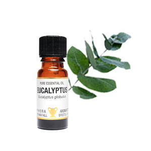 EUCALYPTUS PURE ESSENTIAL OIL; 10ML IN AN AMBER GLASS DROPPER BOTTLE BY AMPHORA AROMATICS